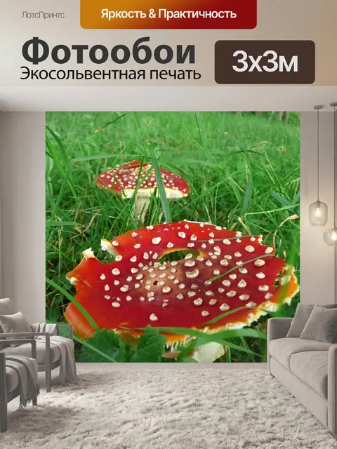 Фотообои Лес