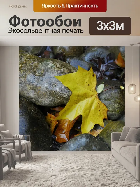 Фотообои Клен