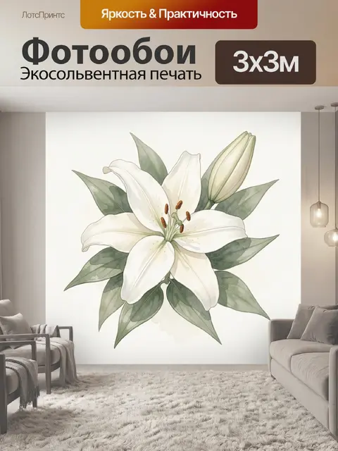 300 × 300 см · Экосольвентная печать