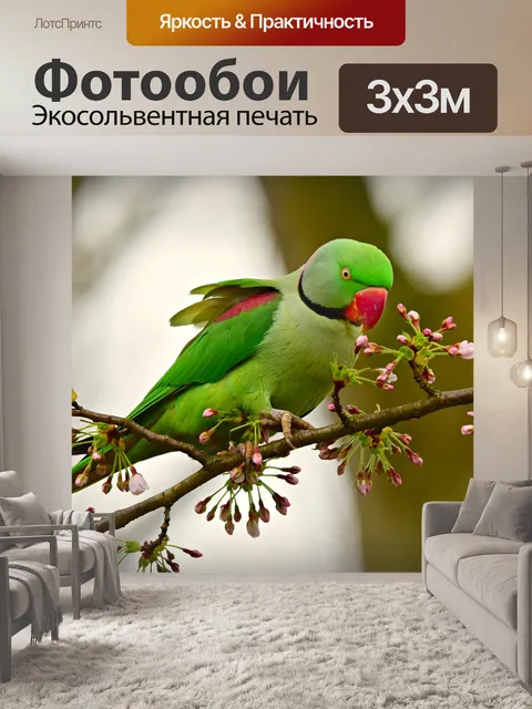 Фотообои Роза кольчатой попугай