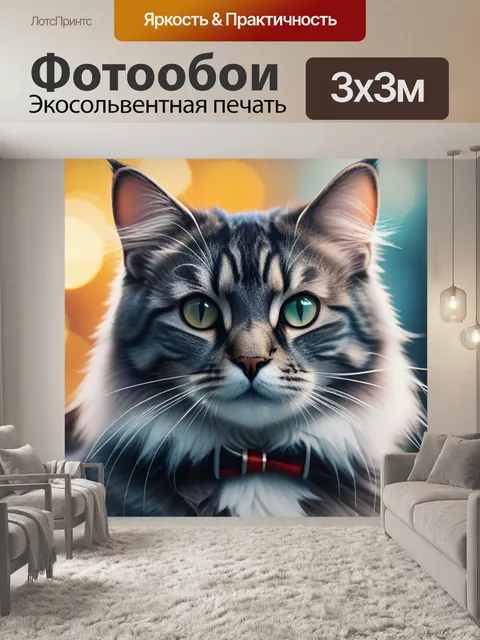 Фотообои с кошкой минимал