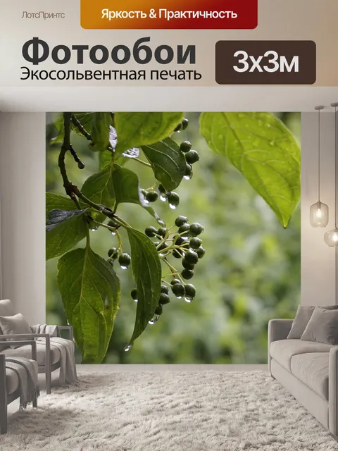 Фотообои Листья