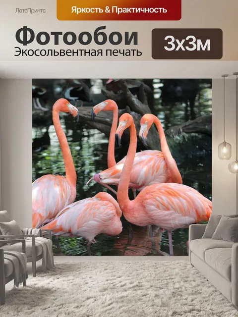Фотообои Фламинго