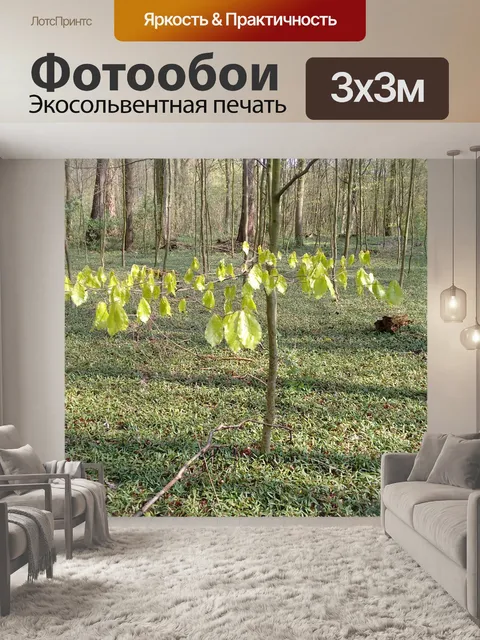 Фотообои Листья