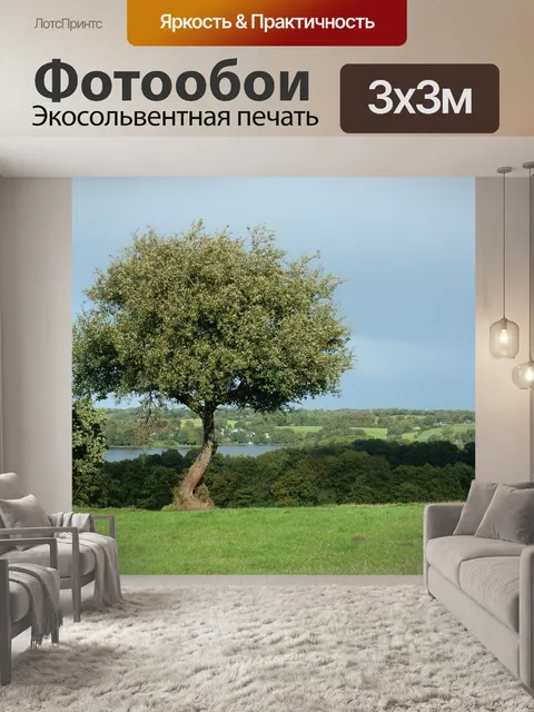Фотообои Дерево