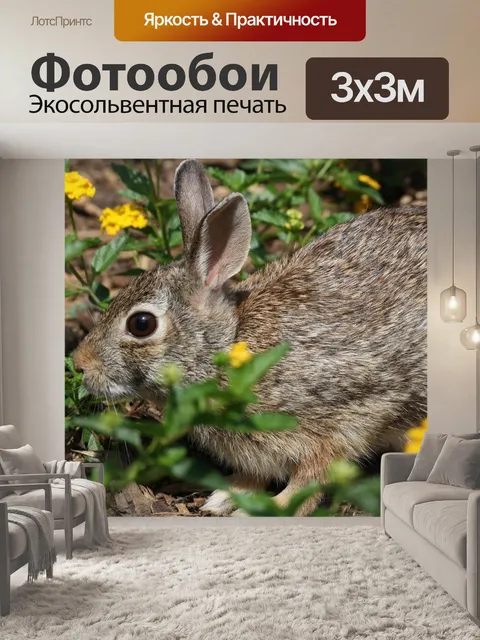 Фотообои Природа