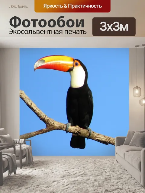 Фотообои Тукан