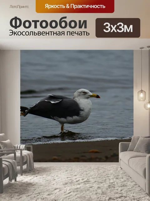 Фотообои Животное