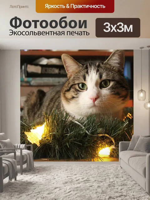 Фотообои Кошка