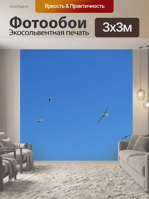 Фотообои Чайки