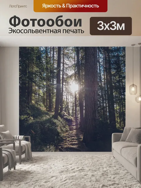 Фотообои Лес