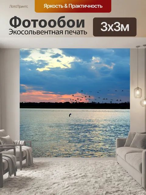 Фотообои Птицы, летающие на закате