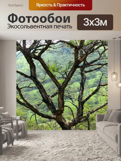 Фотообои Долина сквозь ветки дерева