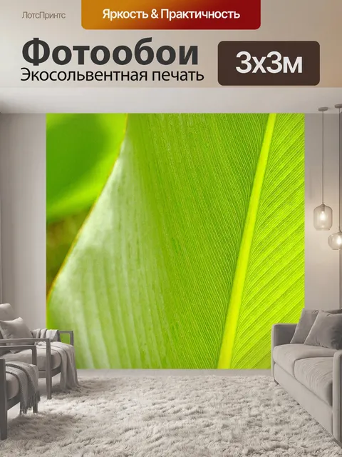 Фотообои Лист