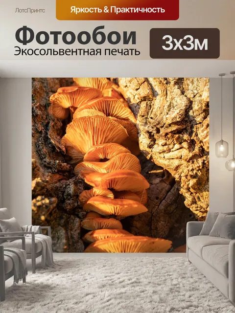 Фотообои Гриб