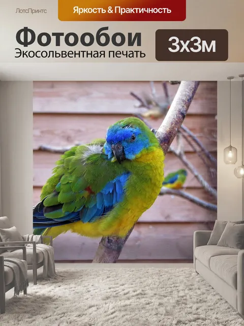 Фотообои Птица