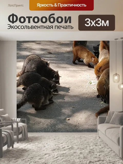 Фотообои Животное