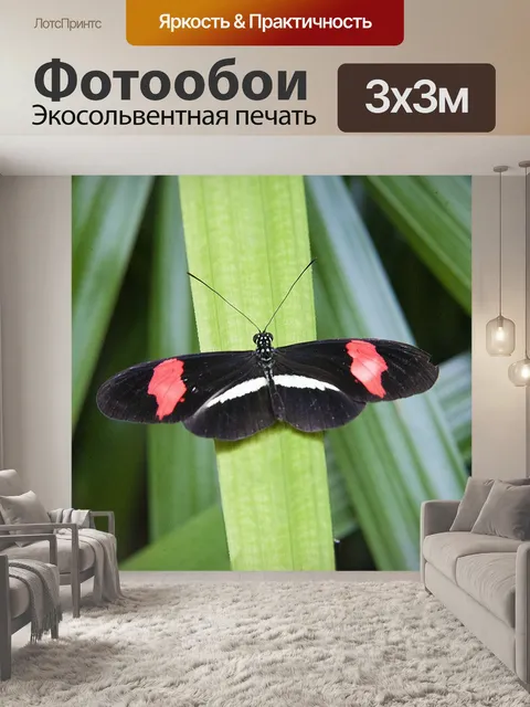 Фотообои Бабочка