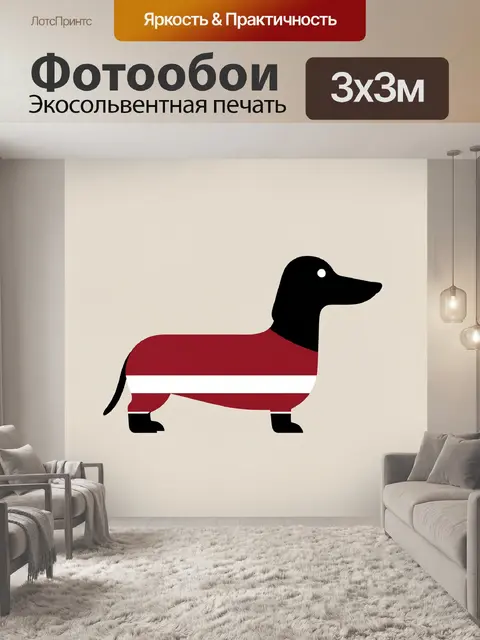 Фотообои Собака в красном свитере