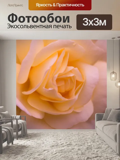 Фотообои Роза