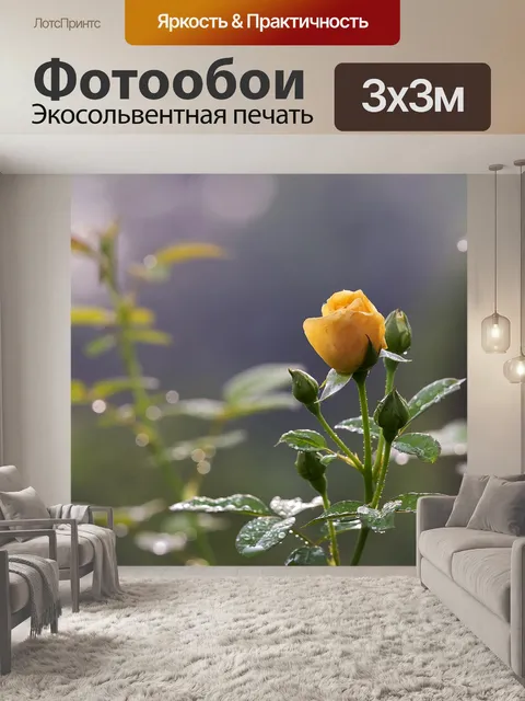 Фотообои Роза