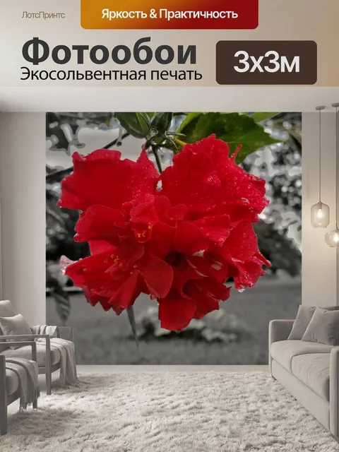 Фотообои Роза