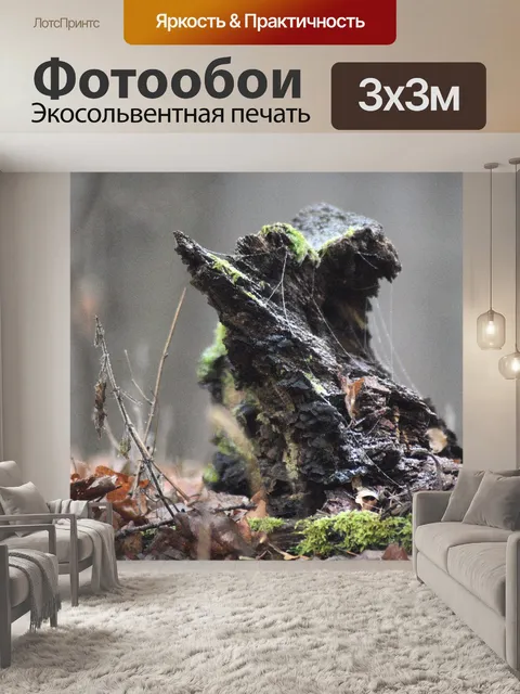 Фотообои Лес