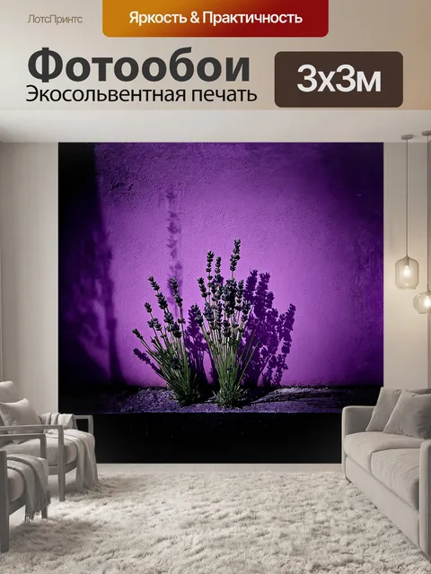Фотообои одинокая лаванда у стены
