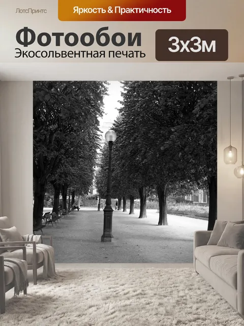 Фотообои Место