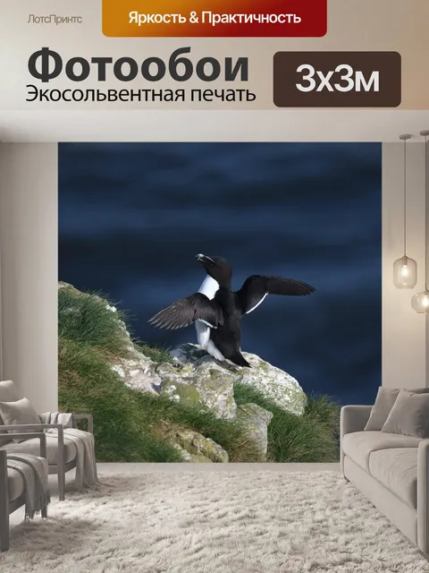 Фотообои Вода
