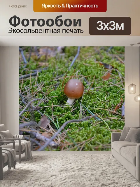 Фотообои Гриб