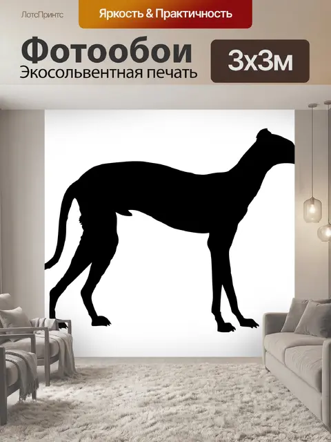 Фотообои Борзая собака силуэт