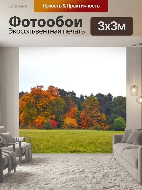 Фотообои Падение