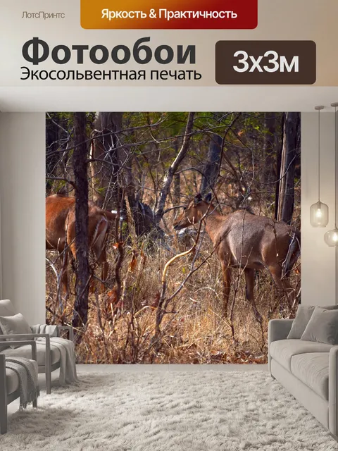 Фотообои Пара оленей