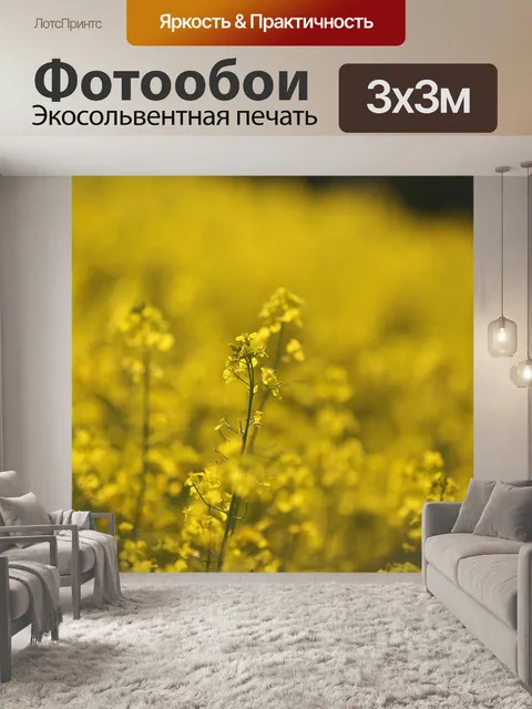 Фотообои Поле