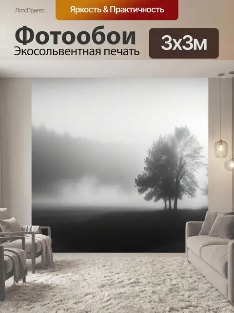 Фотообои фото пейзаж с туманом чернобелый