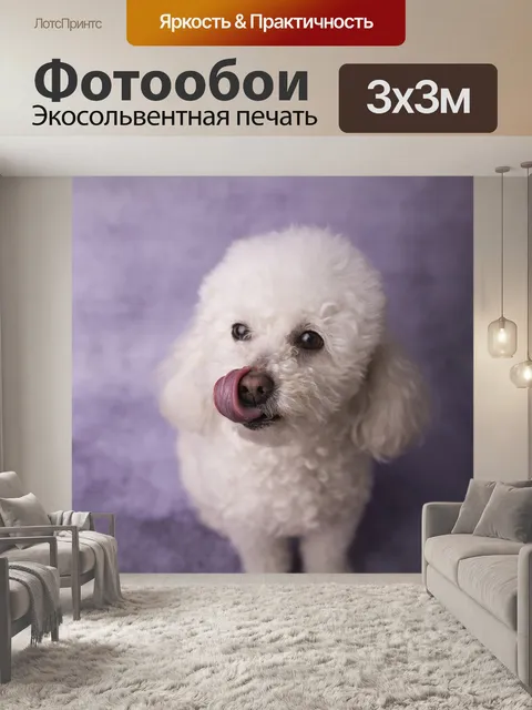 Фотообои Собака