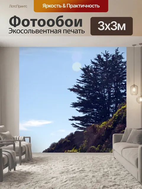 Фотообои Силуэты деревьев