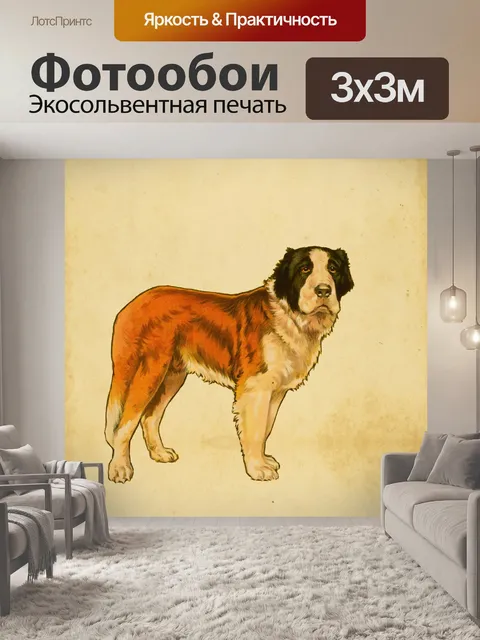 Фотообои Сенбернар Собака Винтаж