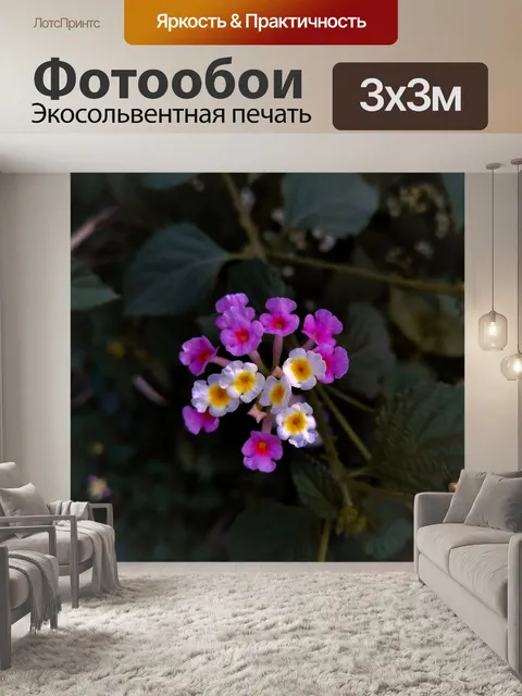 Фотообои Цветы