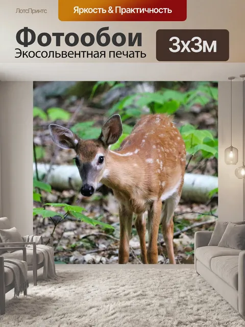 Фотообои желтовато-коричневый