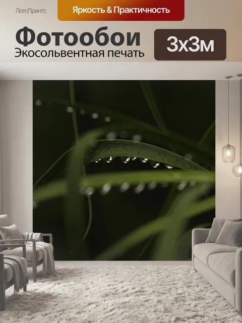 Фотообои Листья