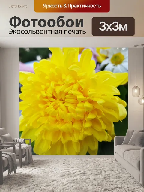 Фотообои Желтые лепестки