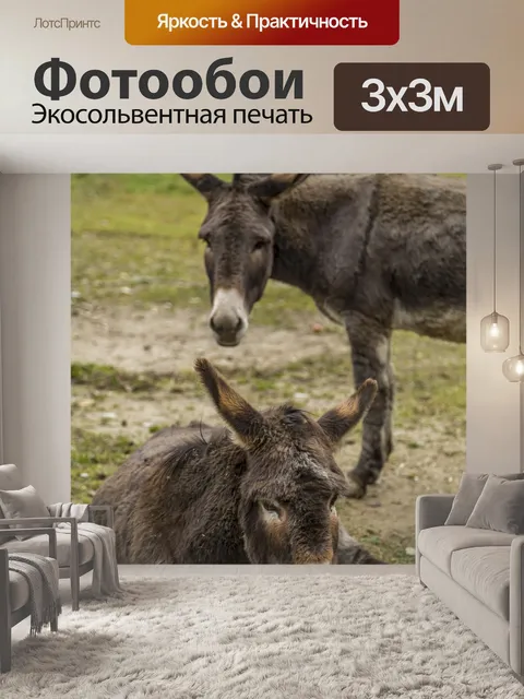Фотообои Осел, пасущийся в горах