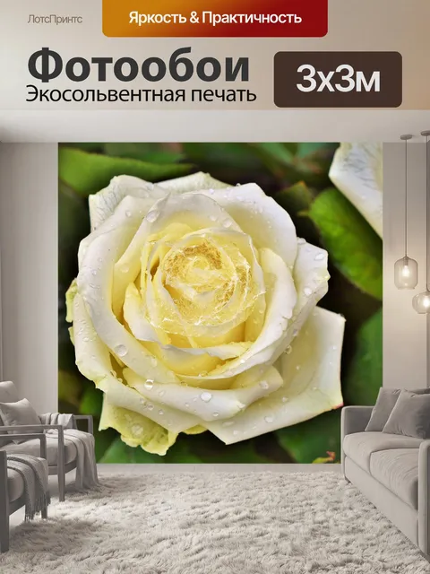 Фотообои Роза