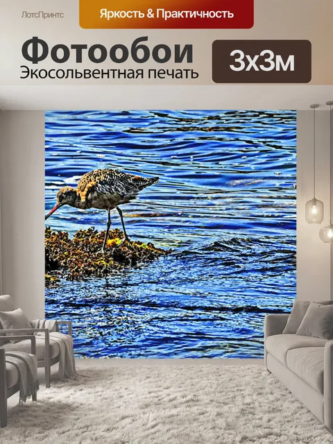Фотообои Кормление веретенник Птица