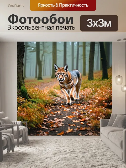 Фотообои осень походы: кустарники и деревья, облетевшие листья, туманное утро, рысь, пробегающая через лес