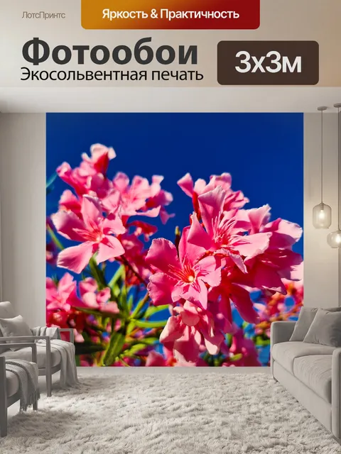 Фотообои Цветы олеандра
