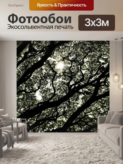 Фотообои Деревья