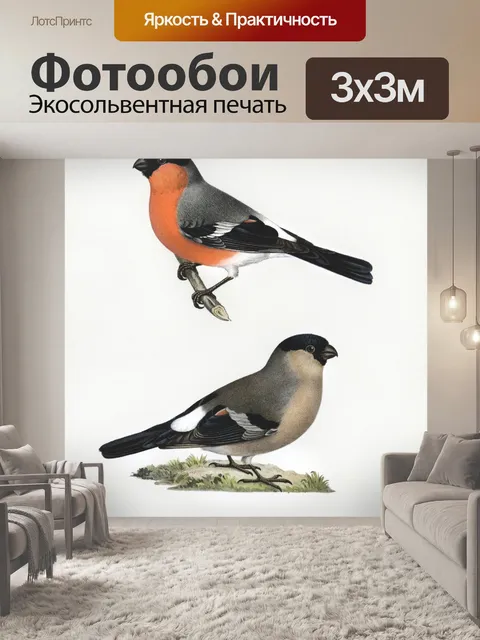 Фотообои Птицы старинные художественная роспись
